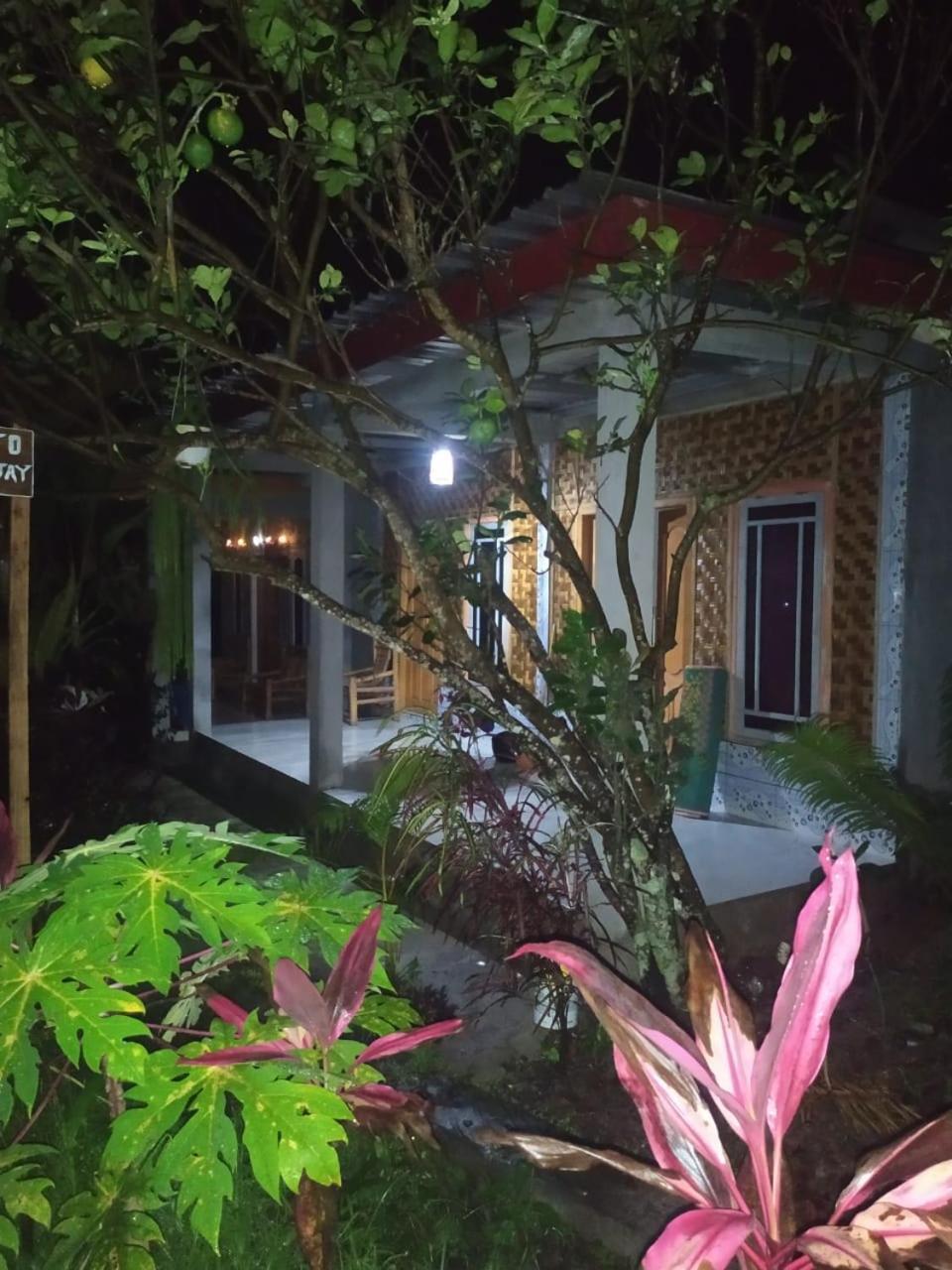 Eltari Homestay Тетебату Екстер'єр фото